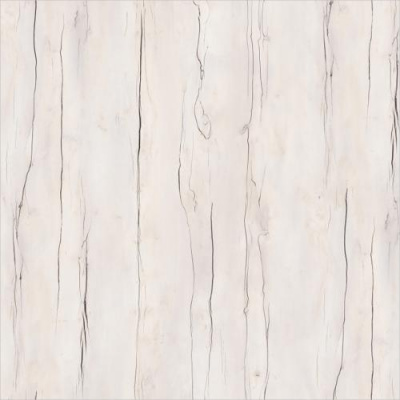 ТАКСОНИЯ СВЕТЛАЯ 