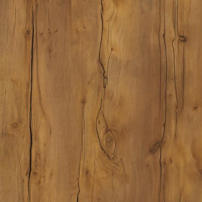 ТАКСОНИЯ ТЕМНАЯ