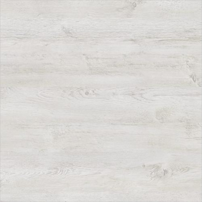 СОСНА САНТОРИНИ СВЕТЛАЯ