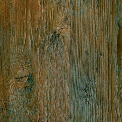 СОСНА САНТОРИНИ ТЕМНАЯ