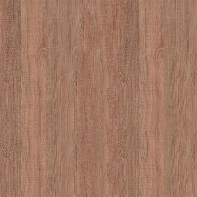 ДУБ САНТАНА